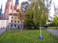 Uppsala - zwischen Domkirche und Universität