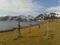 Ein Apriltag in Gulgammen auf der Insel Magerøya