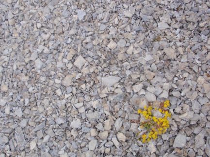 Trollholm Trolle Nordnorwegen