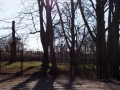 Im Park hinter Linköpings Dom