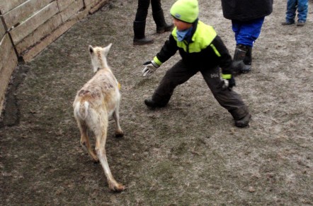 OLYMPUS DIGITAL CAMERA