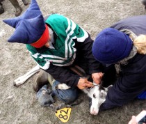 OLYMPUS DIGITAL CAMERA