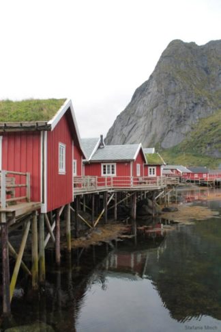 Lofoten