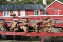 Lofoten