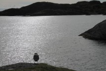 Lofoten