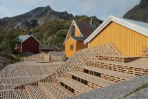 Lofoten