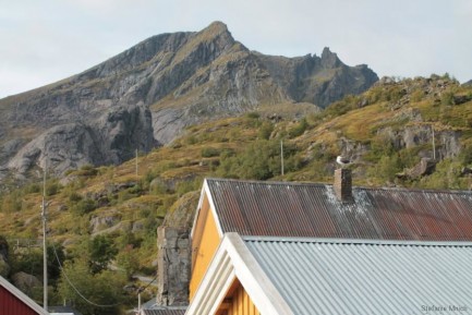 Lofoten