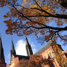 IMG_3178Uppsala Domkirche_mod