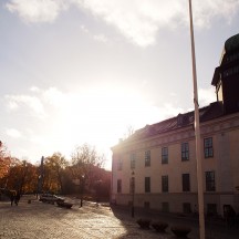vor der Uppsala Domkirche mit Blick auf das Gustavianum