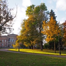 Uppsala Universität