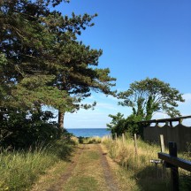 der Weg zum Strand