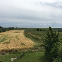 Blick vom Besser Aussichtsturm dänemark