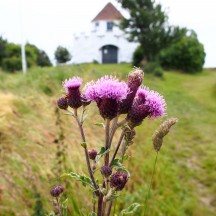 Besser Aussichtsturm dänemark