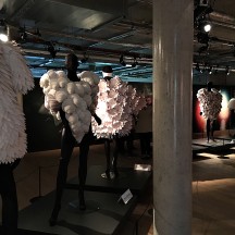 Foto: Besser Nord als nie!