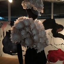 Foto: Besser Nord als nie!