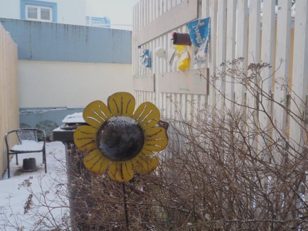 Island Winter Reykjavik