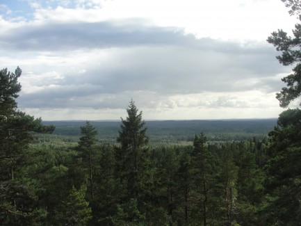 Skurugata Schweden Wald