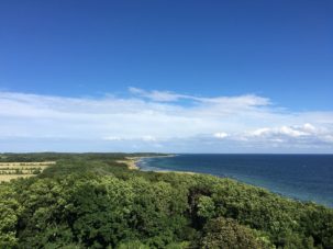 Samsö Dänemark Wald Meer