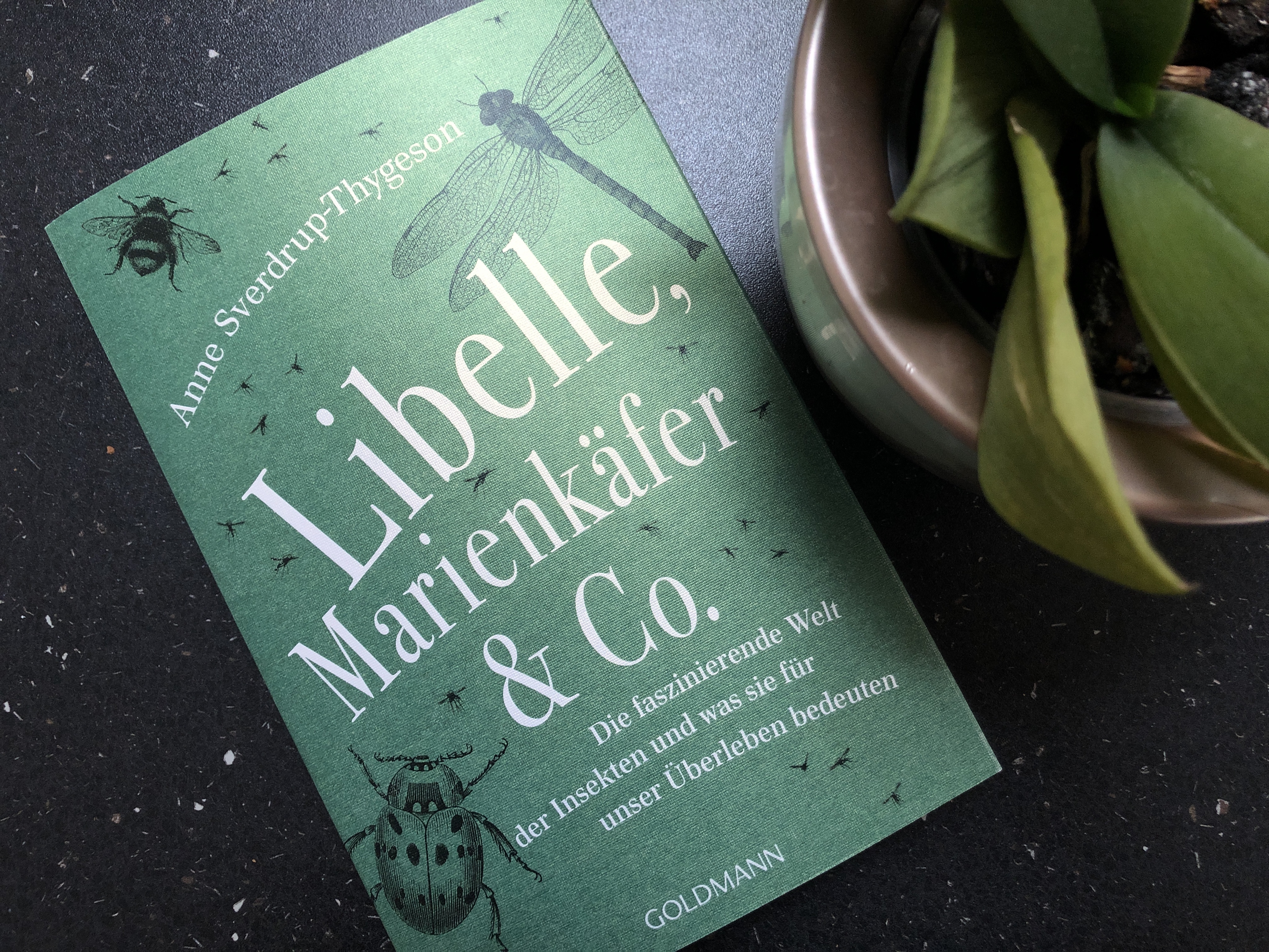 Anne Sverdrup-Thygeson: "Libelle, Marienkäfer & Co."