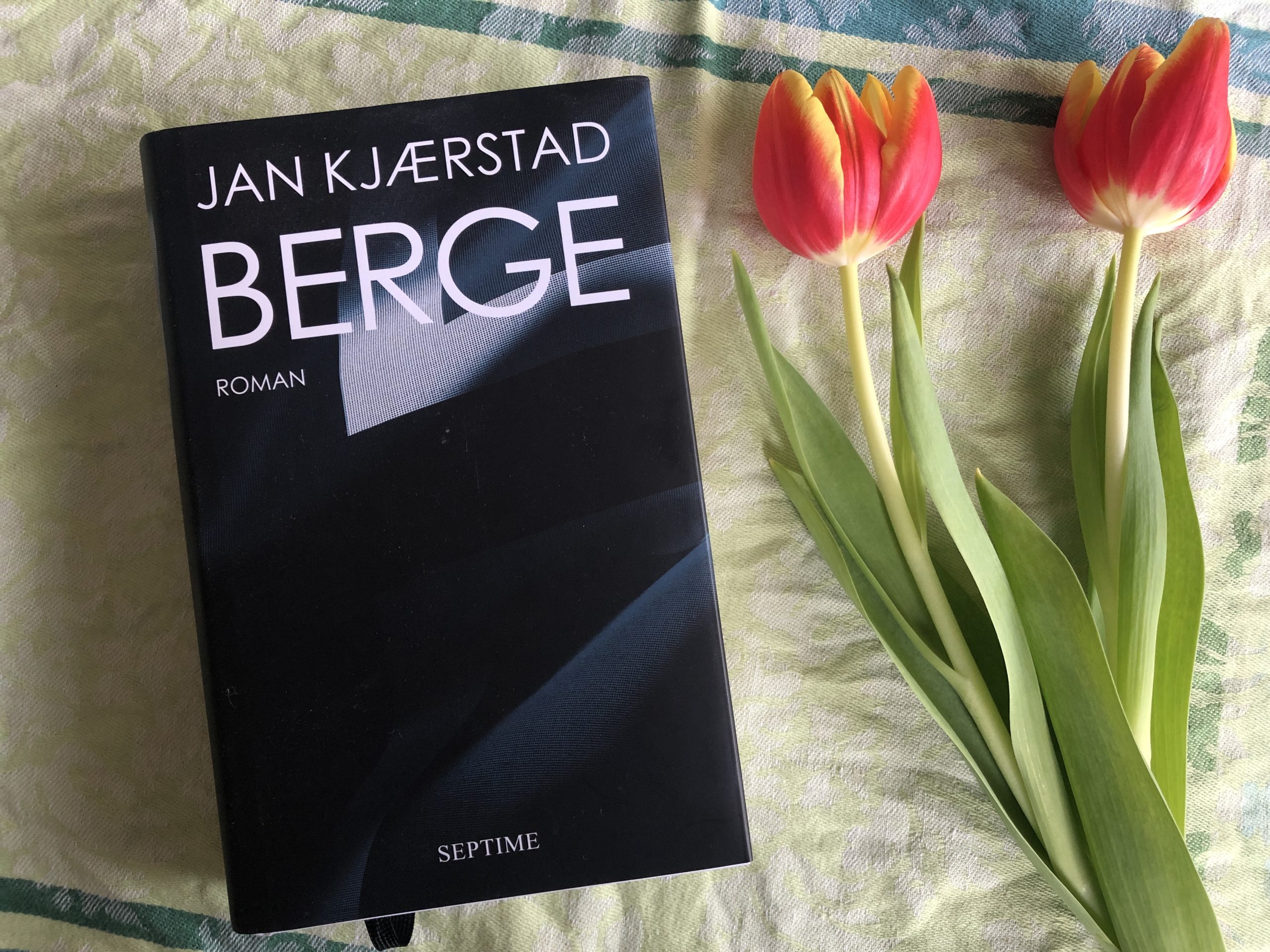 Jan Kjærstad: Berge