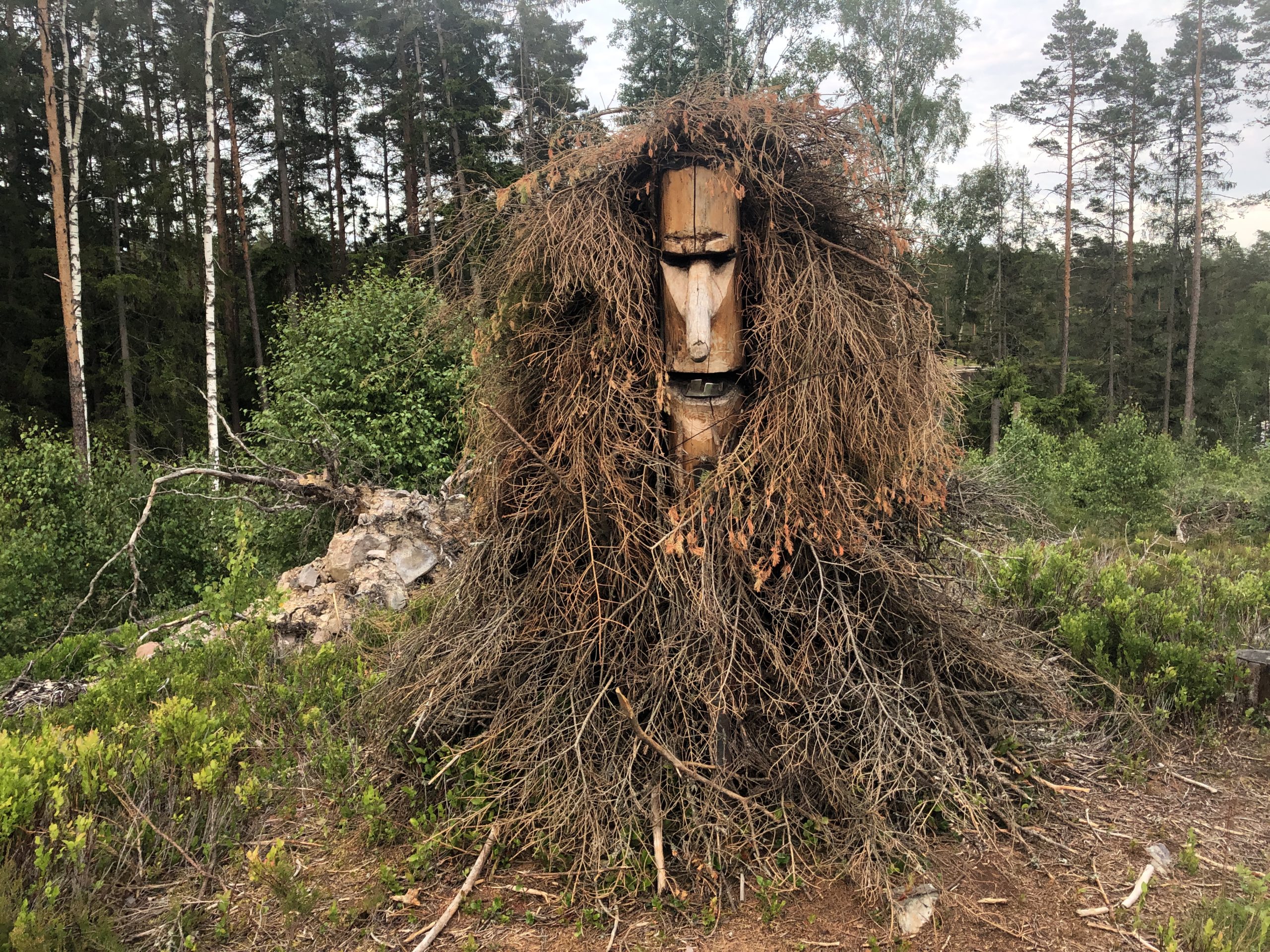 Trollstigen in Målerås